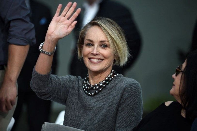 Шэрон Стоун  (Sharon Stone) 2017. Фото: mavink.com