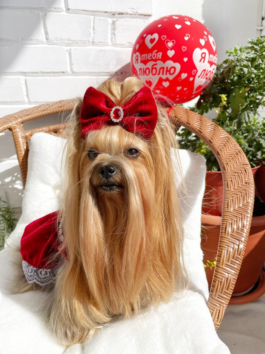 Долгих лет жизни тебе моя девочка желаю !! Только так и ни как иначе . 