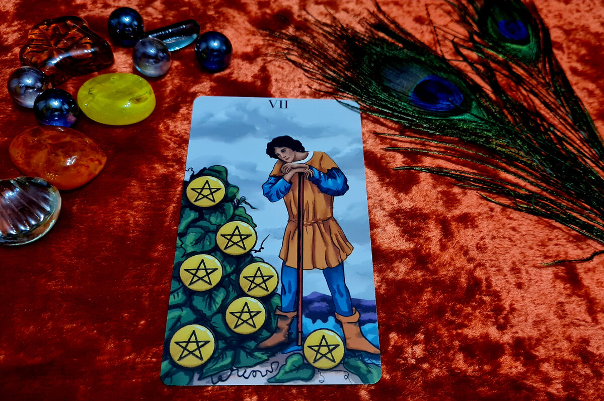 Семерка пентаклей
