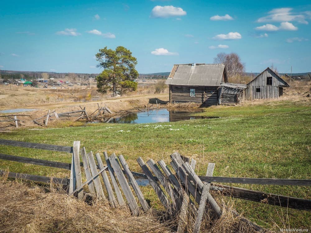      Источник: https://uraloved.ru/