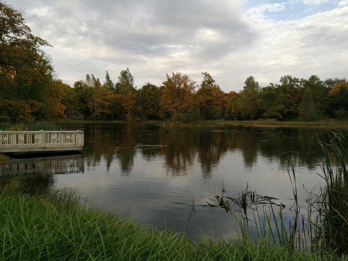 Усадебный пруд