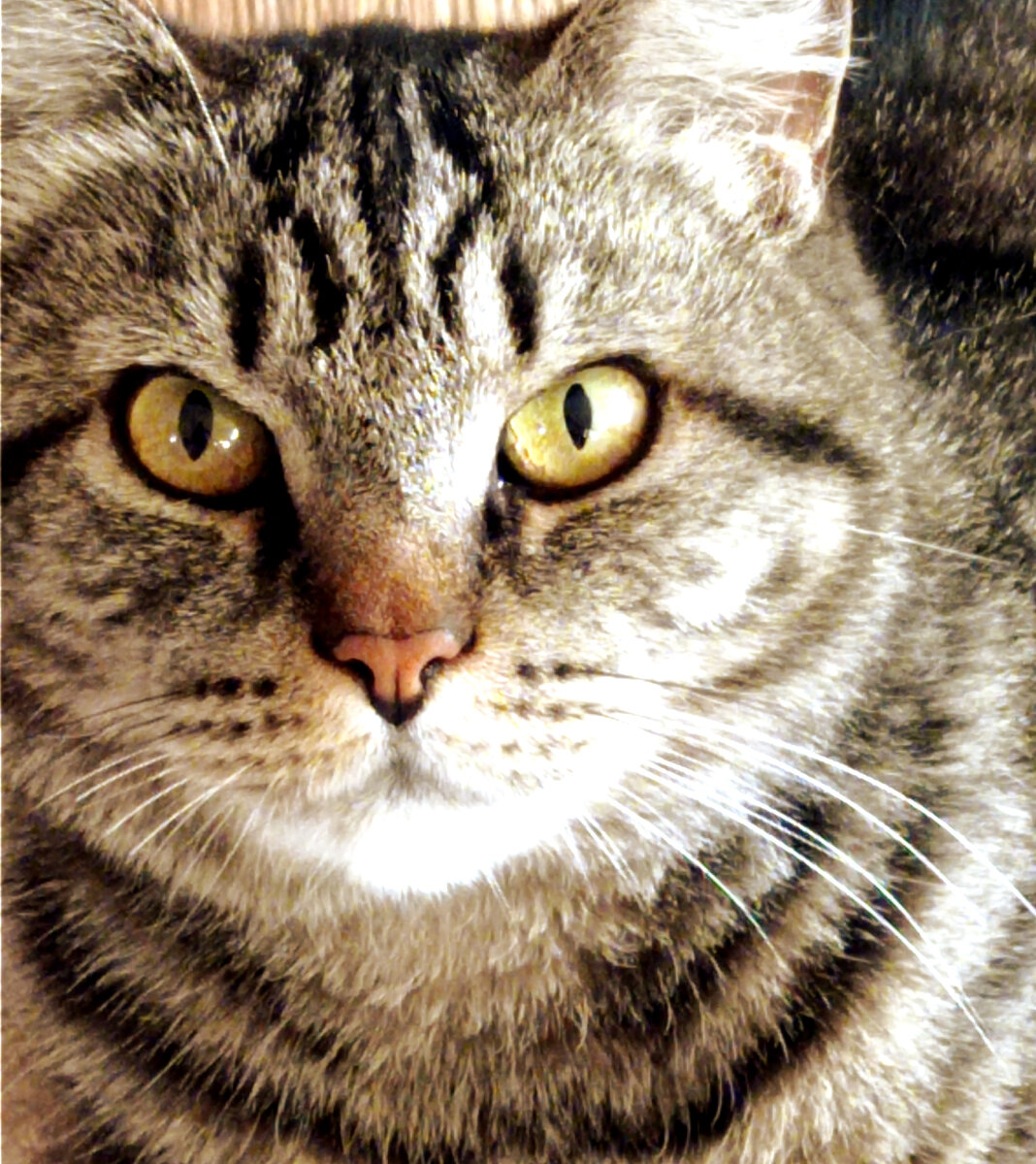 Пора на покой,пост сдал Васе