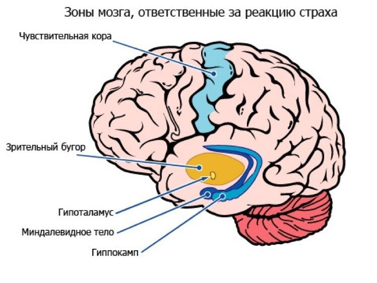 https://www.winstein.org/publ/1-1-0-5767