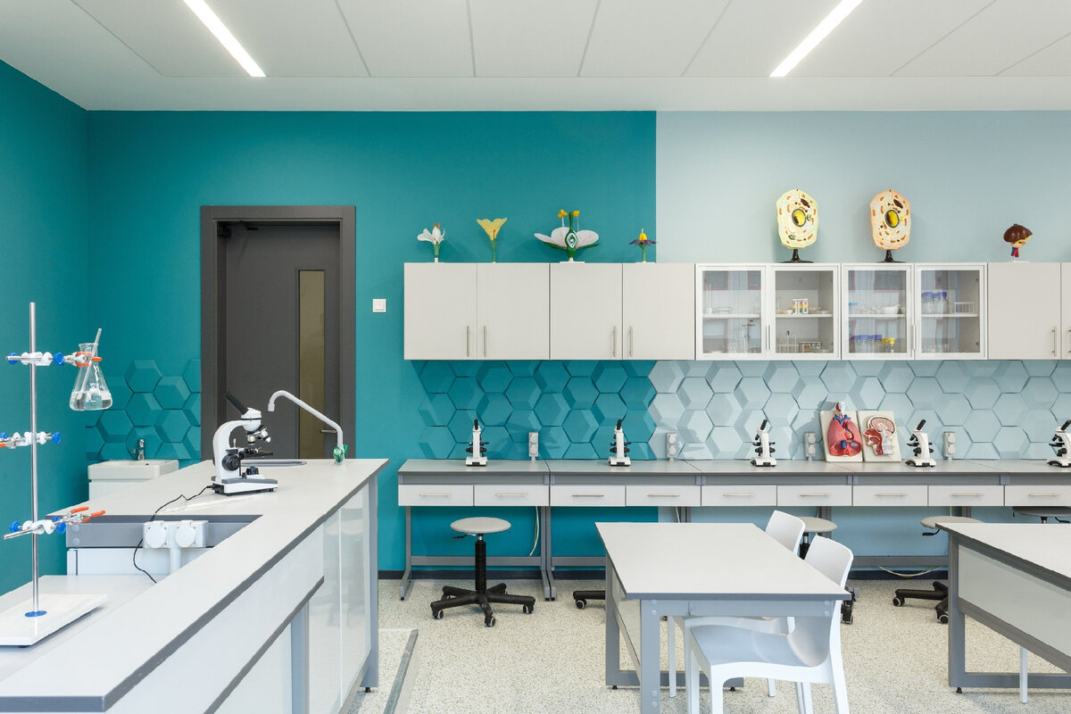 Фото: Яндекс картинки