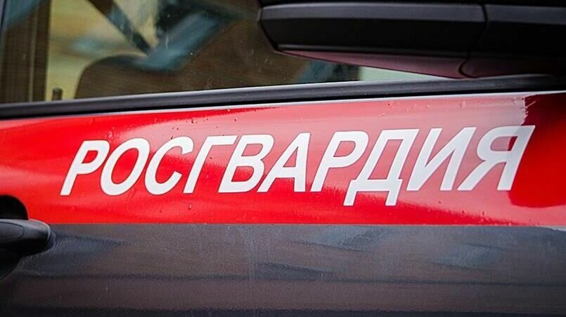     Сотрудники Росгвардии задержали мужчин и женщин, подозревающихся в противоправных действиях в разных муниципалитетах Приморья. У одного из местных жителей обнаружили опасные предметы — нож, мачете и деревянную биту.