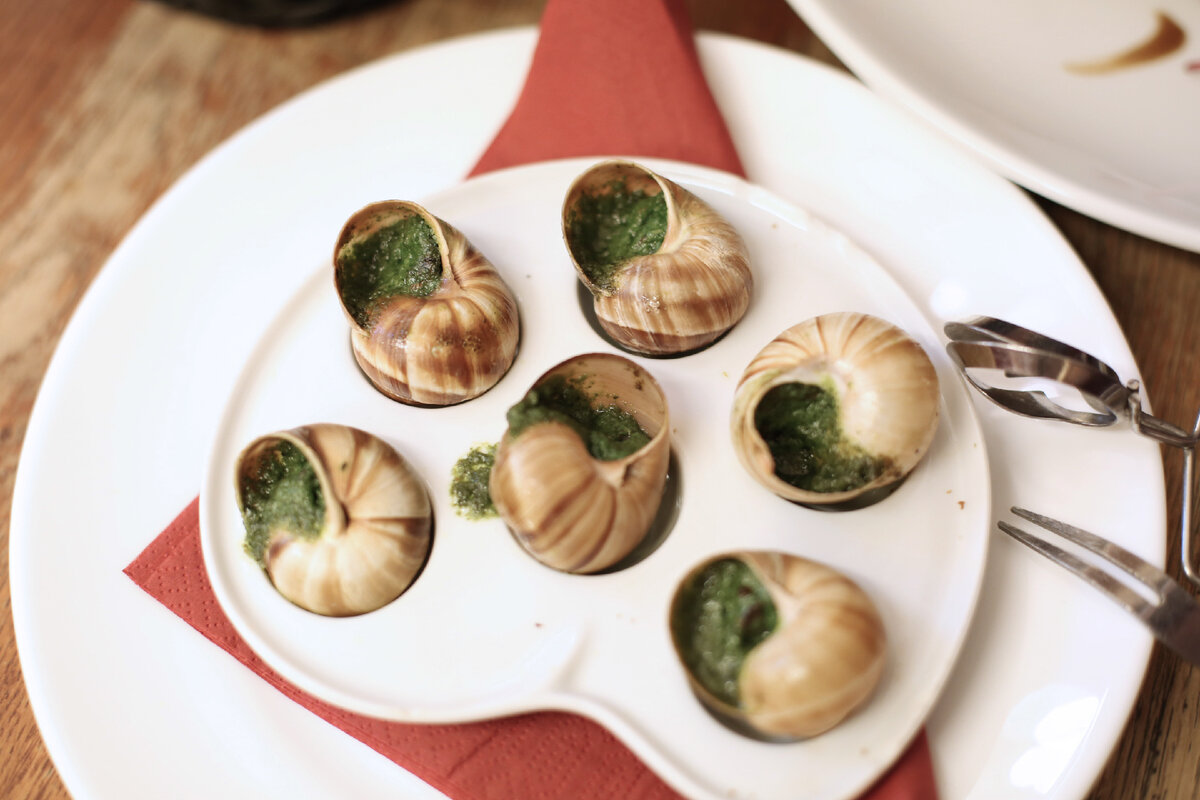 Улитка Виноградная escargots