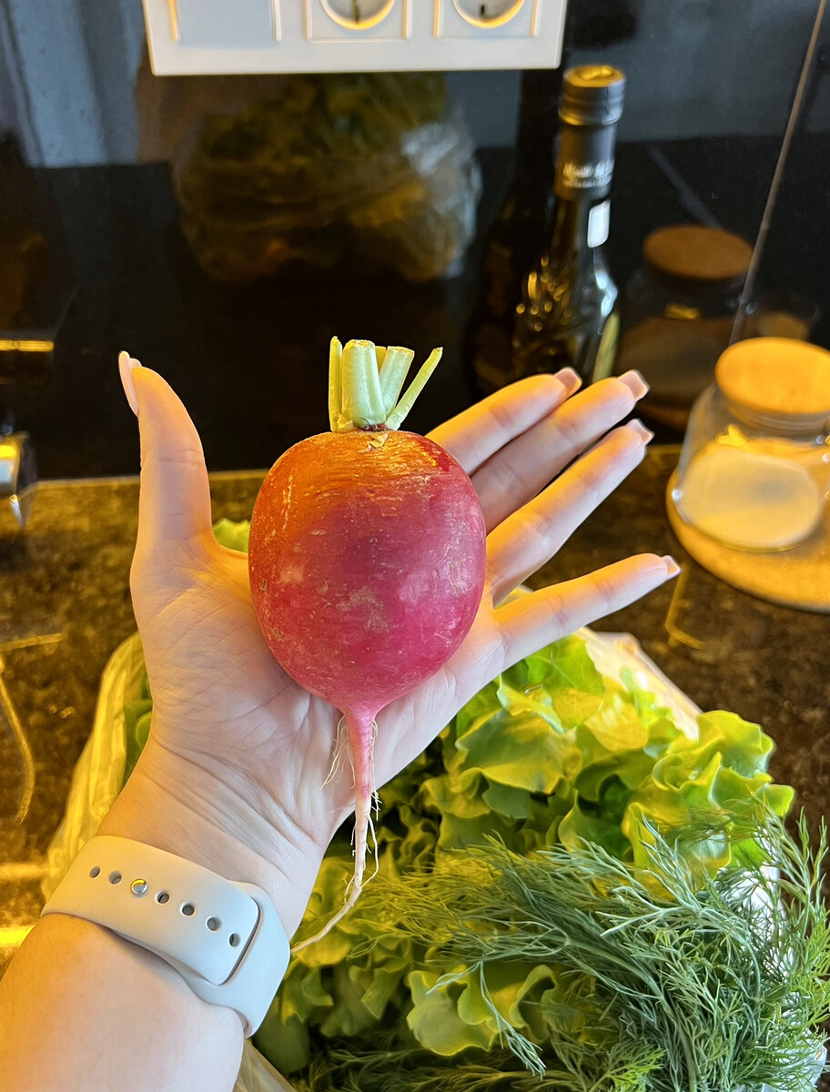 Размеры огромные, но на вкус обычная, привычная нам редиска
