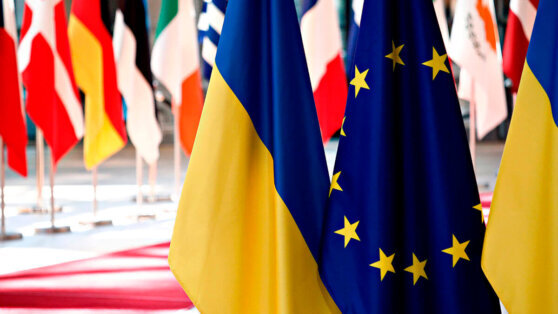    Премьер Украины заявил, что страна выполнила все 7 рекомендаций для кандидата в Евросоюз Анастасия Романова