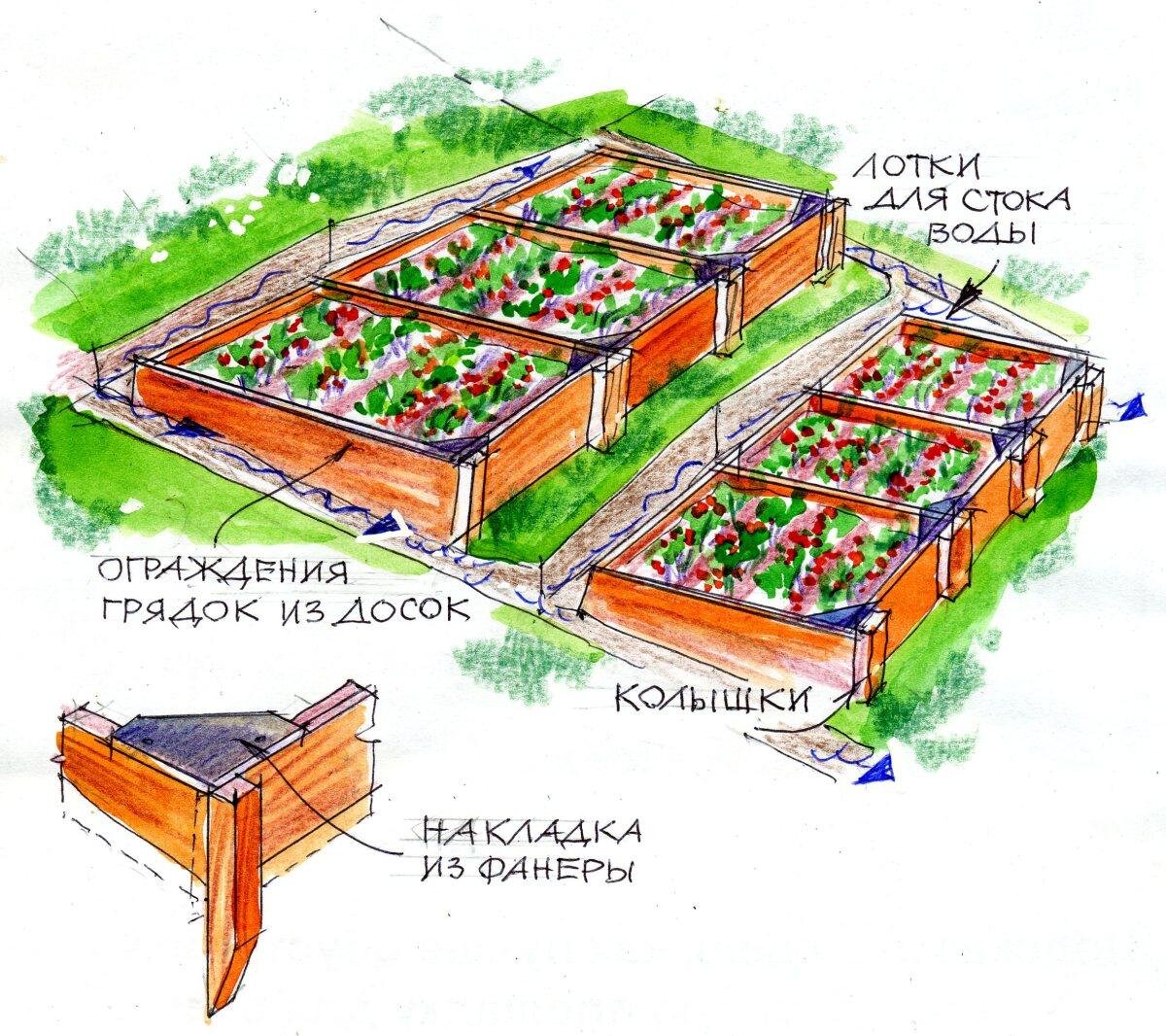 Грядка карта воронеж