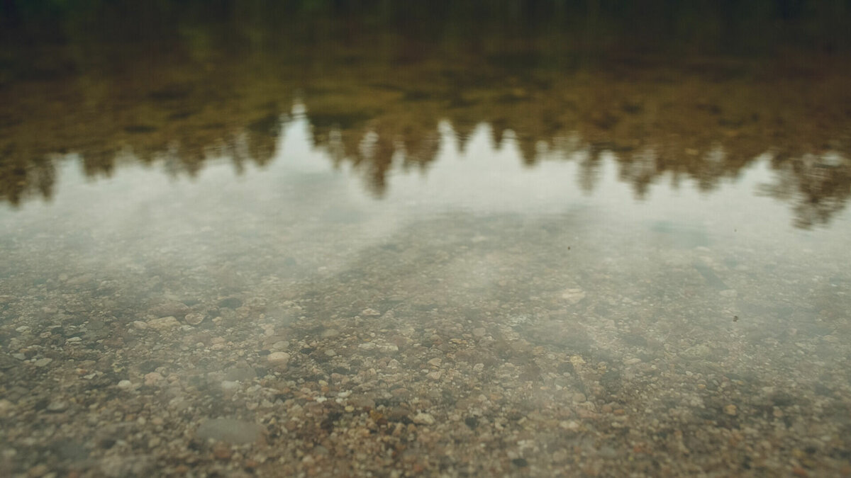     Мост в старинной карельской деревне может полностью развалиться. Об этом написали местные жители в соцсетях.