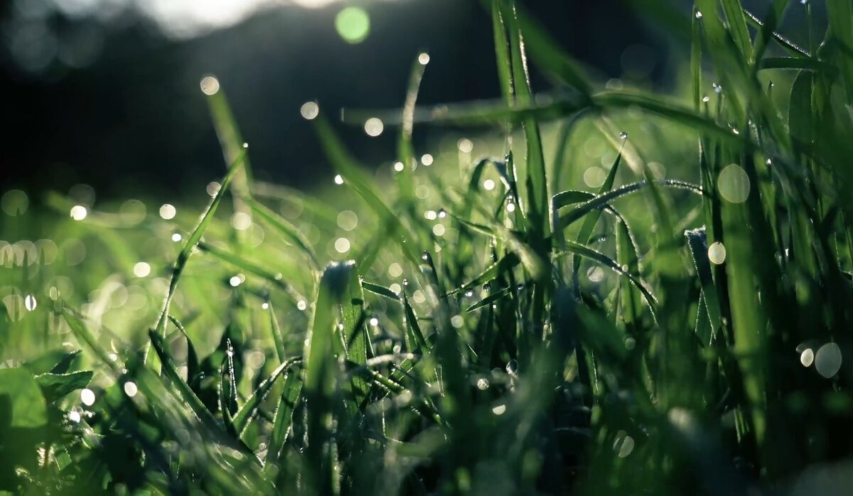 Солнце уже радует глаз и согревает своим теплом!