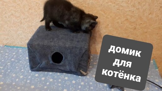 Смастерить домик для котёнка на скорую руку.