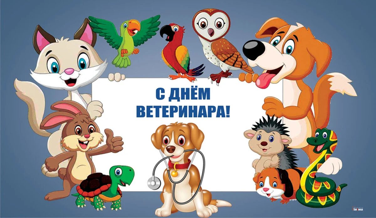 День ветеринарного врача. Иллюстрация: «Весь Искитим»