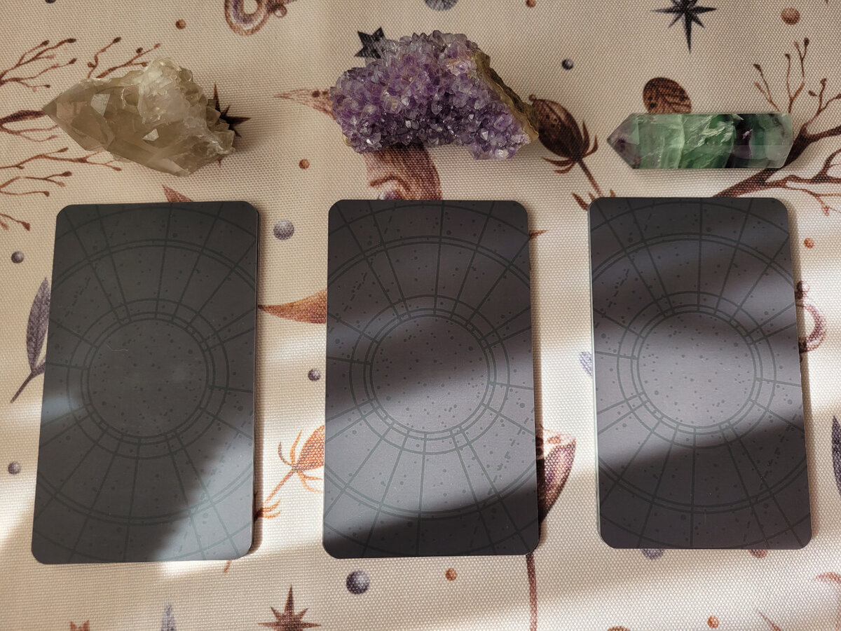 Фото сделано автором канала. 