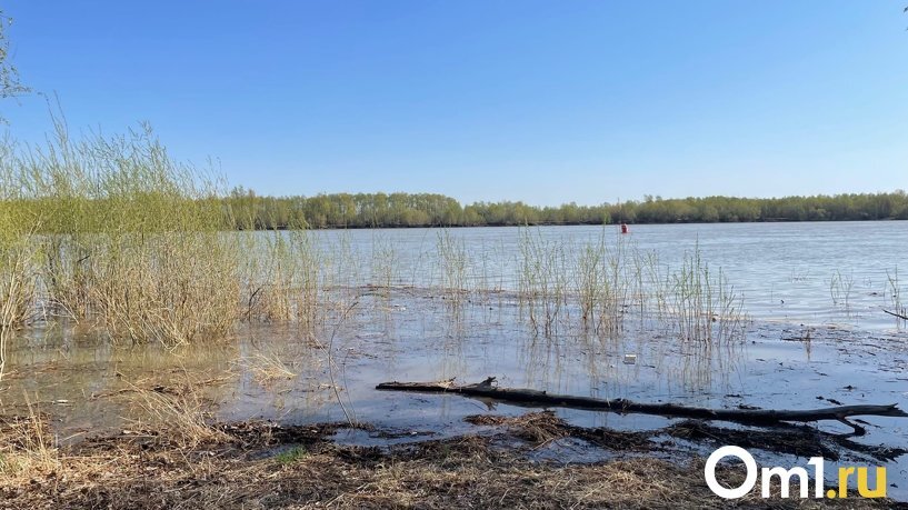 Берег Иртыша просит субботника    📷