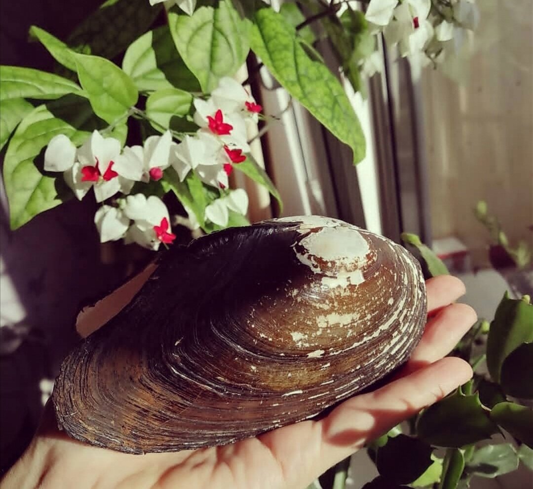 фото из личного архива 
