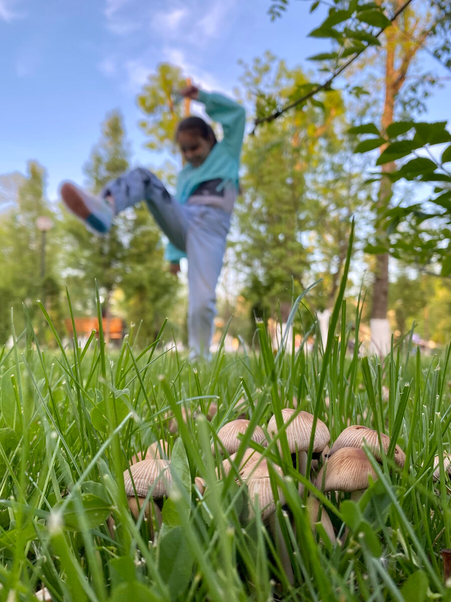 Нет, здесь ты не давишь грибы ногой, хотя очень на это похоже (05.05.2023). Мне очень нравится эта фотка