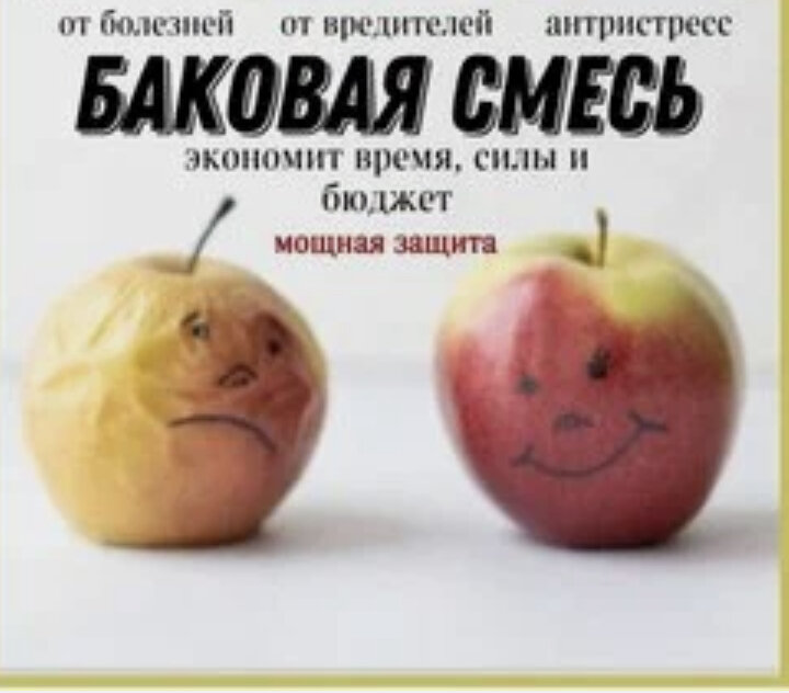 Баковая смесь, что за зверь и как готовить | Гортензии, хвойные, 🌷 ...