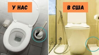 Почему Вот дают, в американских туалетах нет ершиков для унитаза.