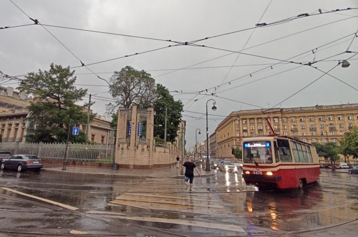    К вечеру 16 мая в Петербурге пойдёт дождь
