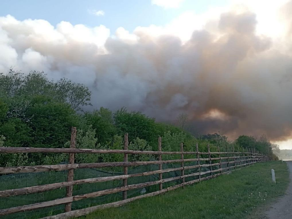 Фото: Региональная прокуратура