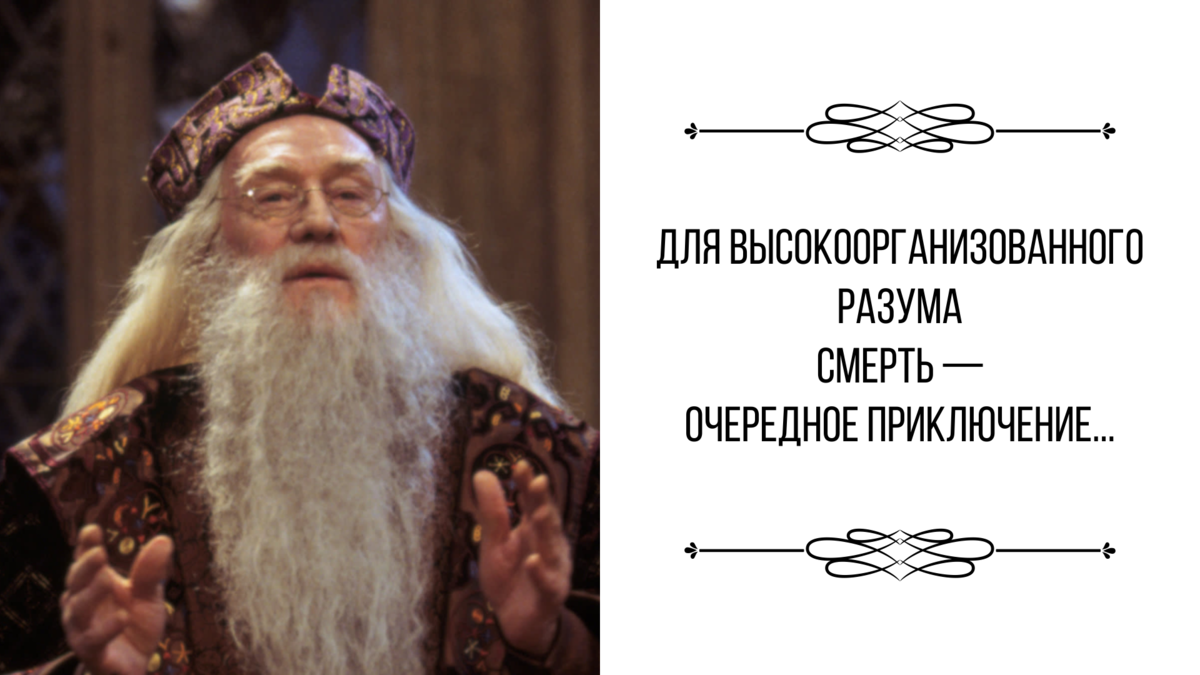 Жизнь и обманы альбуса дамблдора. Могила дамблдора альбуса. Похороны альбуса дамблдора. Почерк альбуса дамблдора. Жизнь и обманыальбуса дамб.