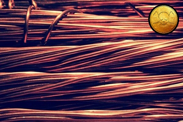 Коллаж из изображений Pixabay