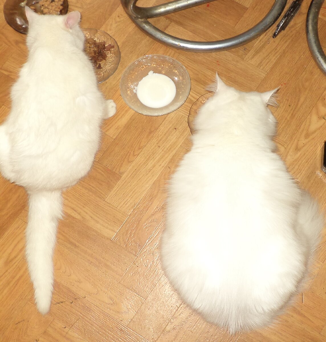 Блондинки за фуршетом