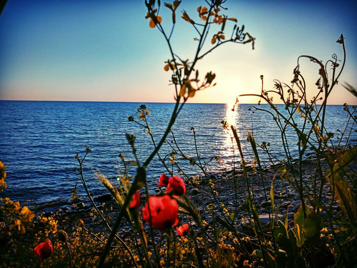 Этот мир придуман не нами. Фото автора. 