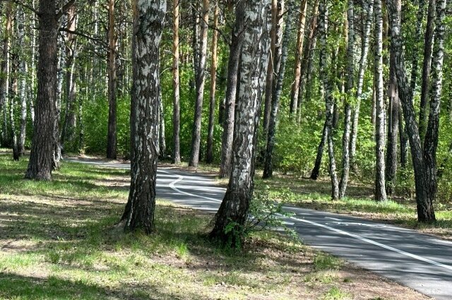    Фото: Администрация Тюмени