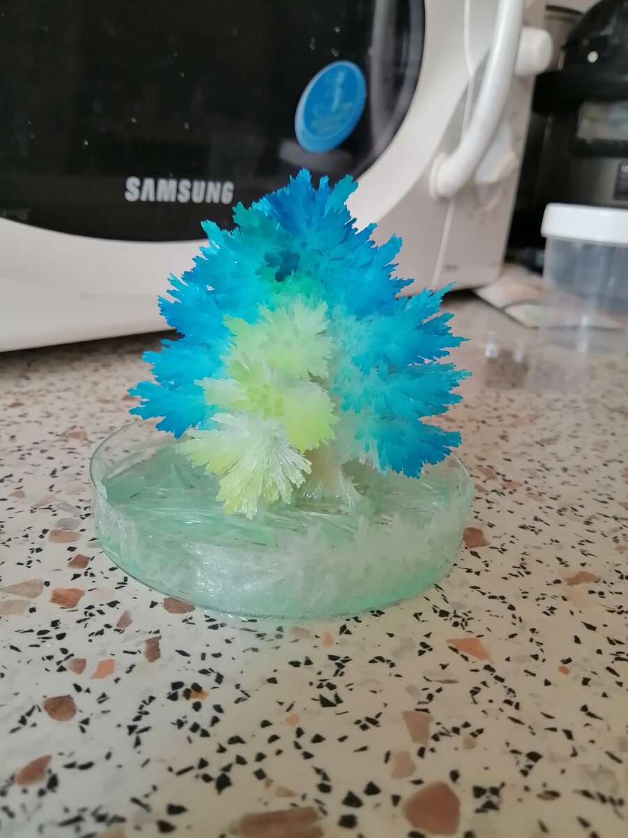 Пушистая елочка