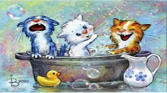 синие коты Рины Зенюк