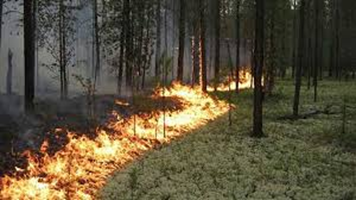 Если уменьшить пожар до размера огорода, то картина похожая
