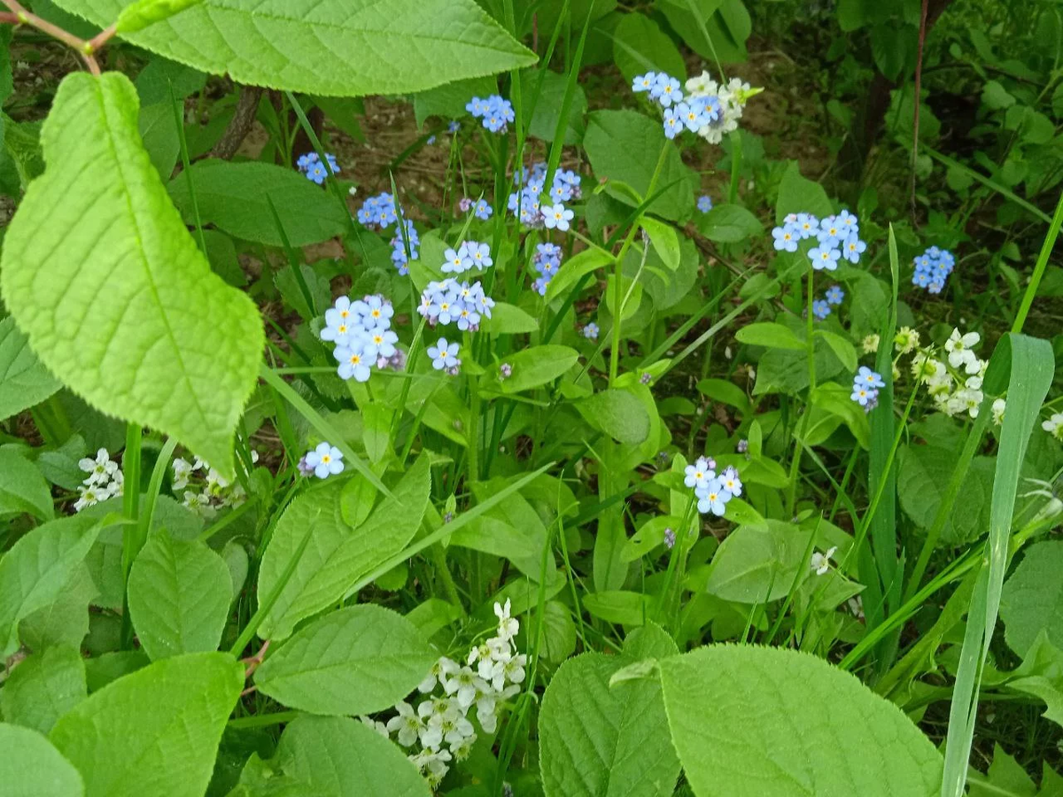 22 мая день николая чудотворца приметы. Что нельзя делать на николу летнего 22 мая. Что можно делать 22 мая 2024. Страстная пятница что нельзя делать. День вадима 22 апреля.