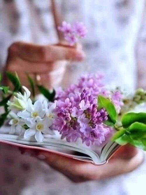 Тест: где поставить ударение в словах?