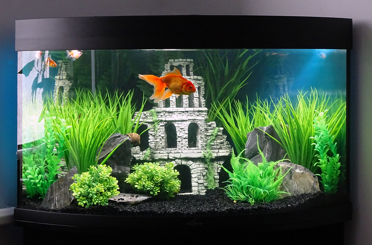 Искусственный Туман и Водопад, своими руками! #аквариум #aquarium #искусственныйту�ман