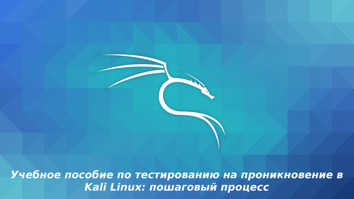 Учебное пособие по тестированию на проникновение в Kali Linux: пошаговый  процесс | Simple Prog | Дзен