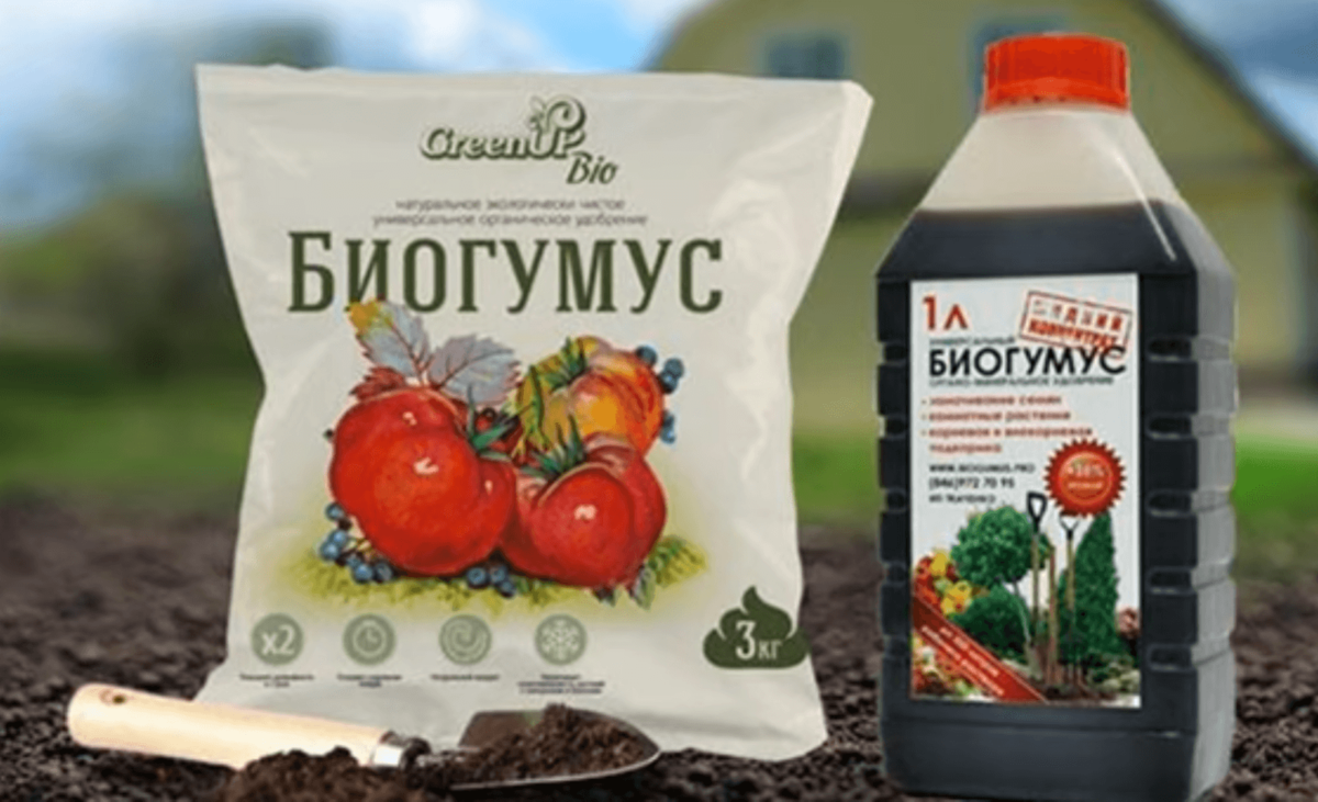 Обогащение почвы в теплице с помощью биогумуса и компоста – простой и эффективный способ вырастить здоровые растения. Удобрение биогумус.