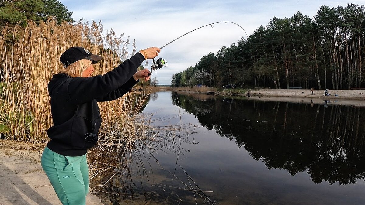 Ловля мирной рыбы спиннингом. Снасти, приманки, тактика рыбалки