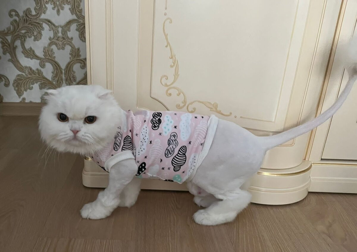 Фото автора. Красавчик