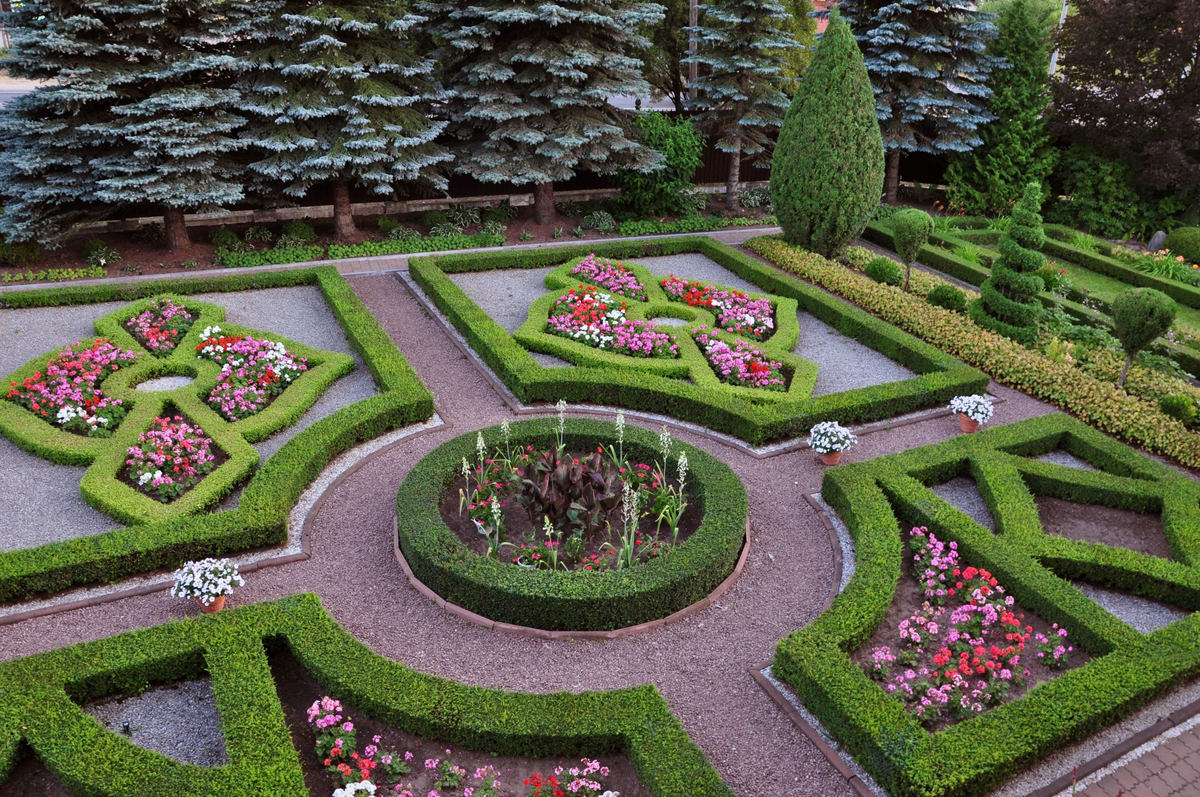 Сад и фото Николая Дементьева, Иваново, источник: vk.com/id66637532