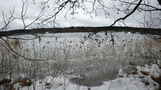 Зимняя прогулка. Михалёвское озеро