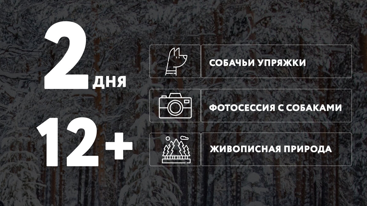 Тур «Дикий север» в Сургутском районе