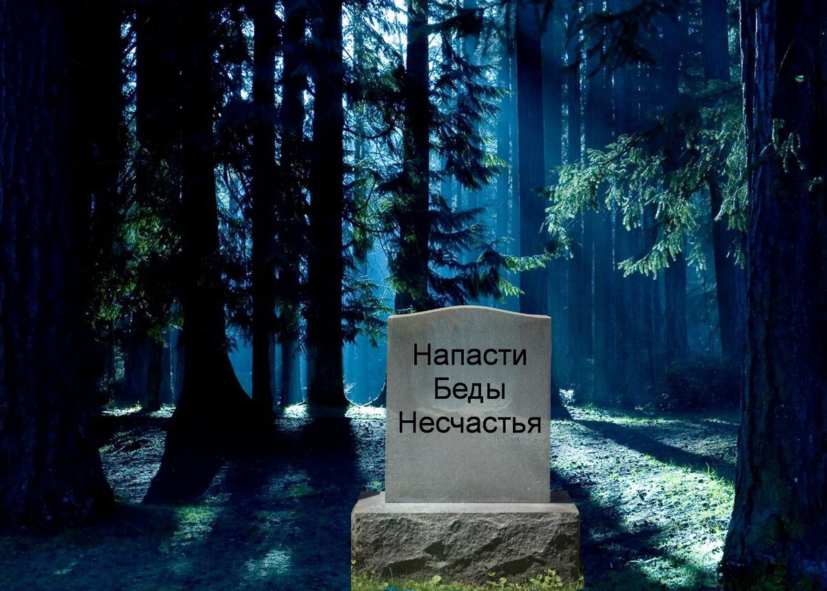 Фото: Яндекс картинки
