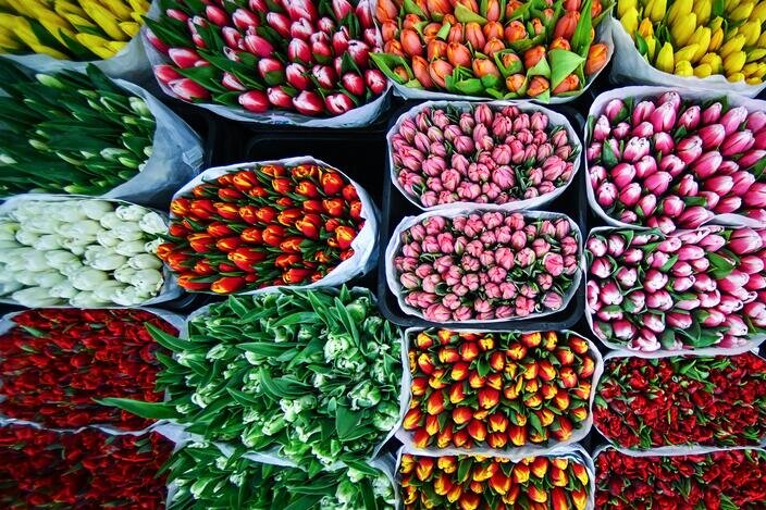 Рижский рынок цены на цветы 2024. Цветочный рынок. Рижский рынок цветов. Рижский рынок цветы. Букет тюльпанов на Рижском рынке.