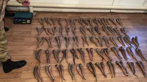    © Photo : пресс-служба ПС КНБ РК