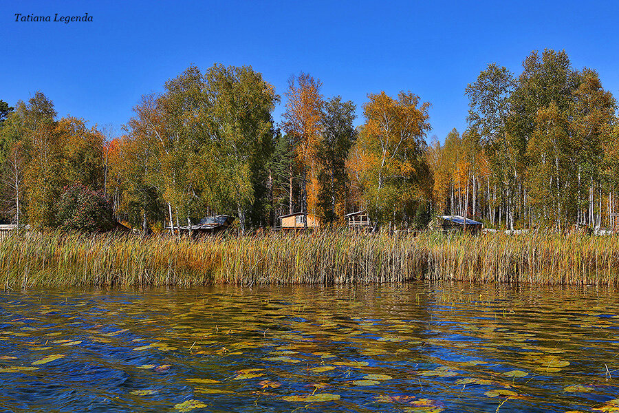 пять озёр омская область. 5 озер муромцевский район омской области. озеро еляты сыктывкар. потаенное озеро омская область. легенда о 5 озерах в омской области.
