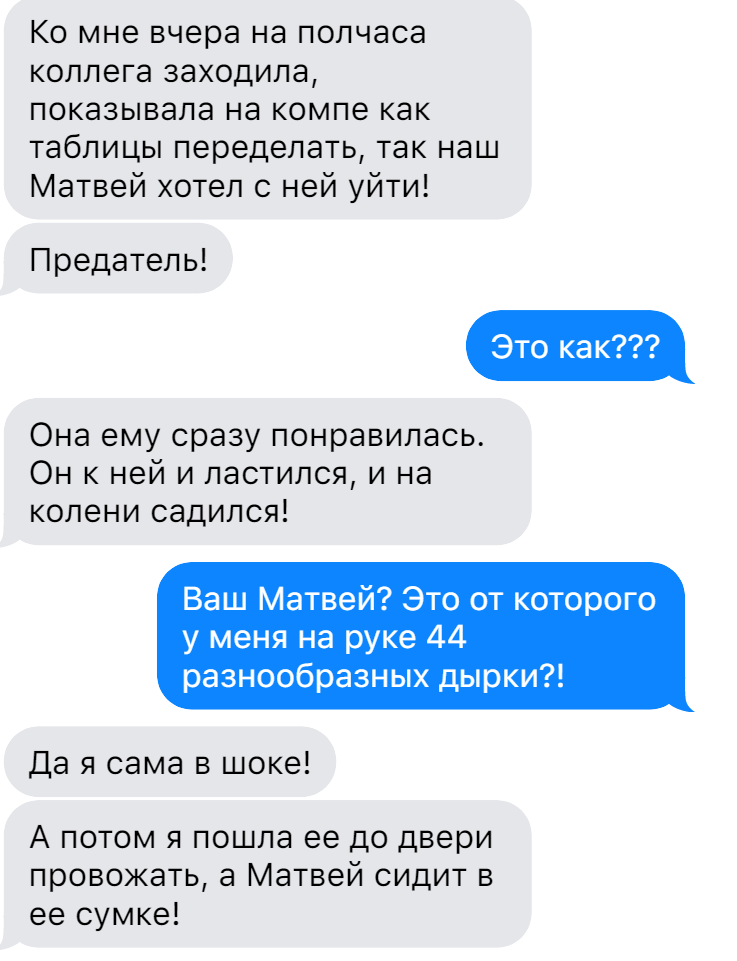 Живет у одной,а лезет к другой