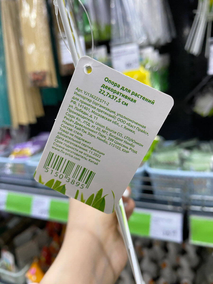 Фото автора канала Валерии Рагозиной 