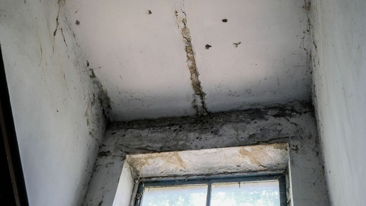     В Набережных Челнах администрация школы №58 опровергла информацию о плесени по всему зданию. Соответствующий ответ от учебного учреждения Inkazan предоставили в пресс-службе городской администрации.